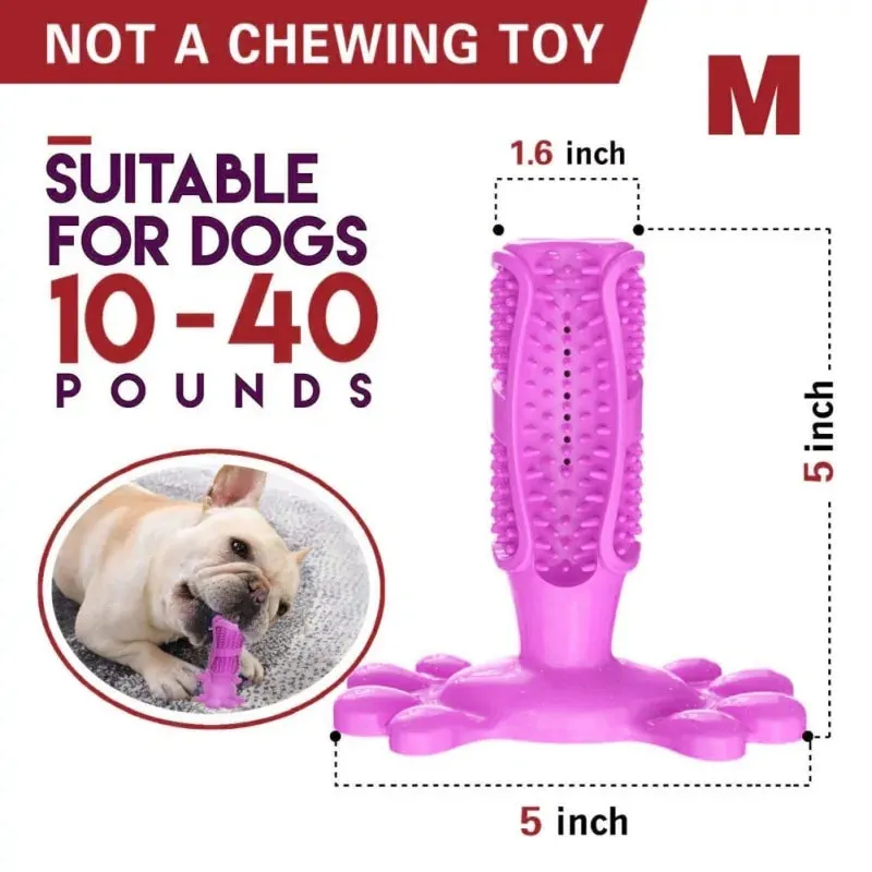 Natural Meat-Flavored Dog Toothpaste and Dog Toothbrush