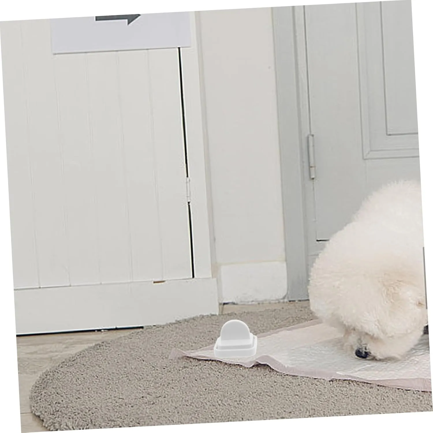 POPETPOP 4pcs Pee Pad for Dogs Dog Potty Training Pad Holder Clip Wall Mount for Pet Owners