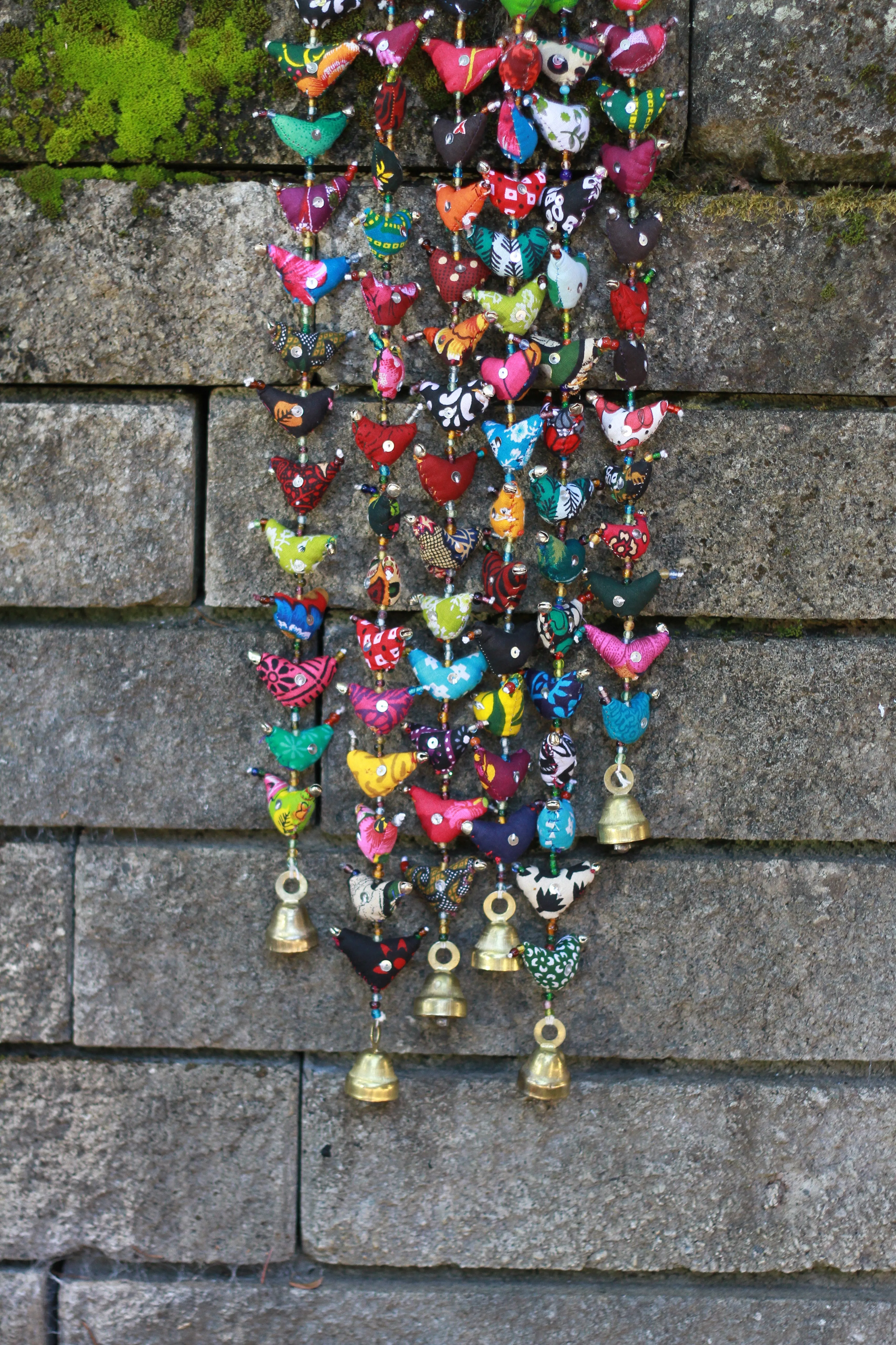 Prosperity Tota - Short (15 Birds)