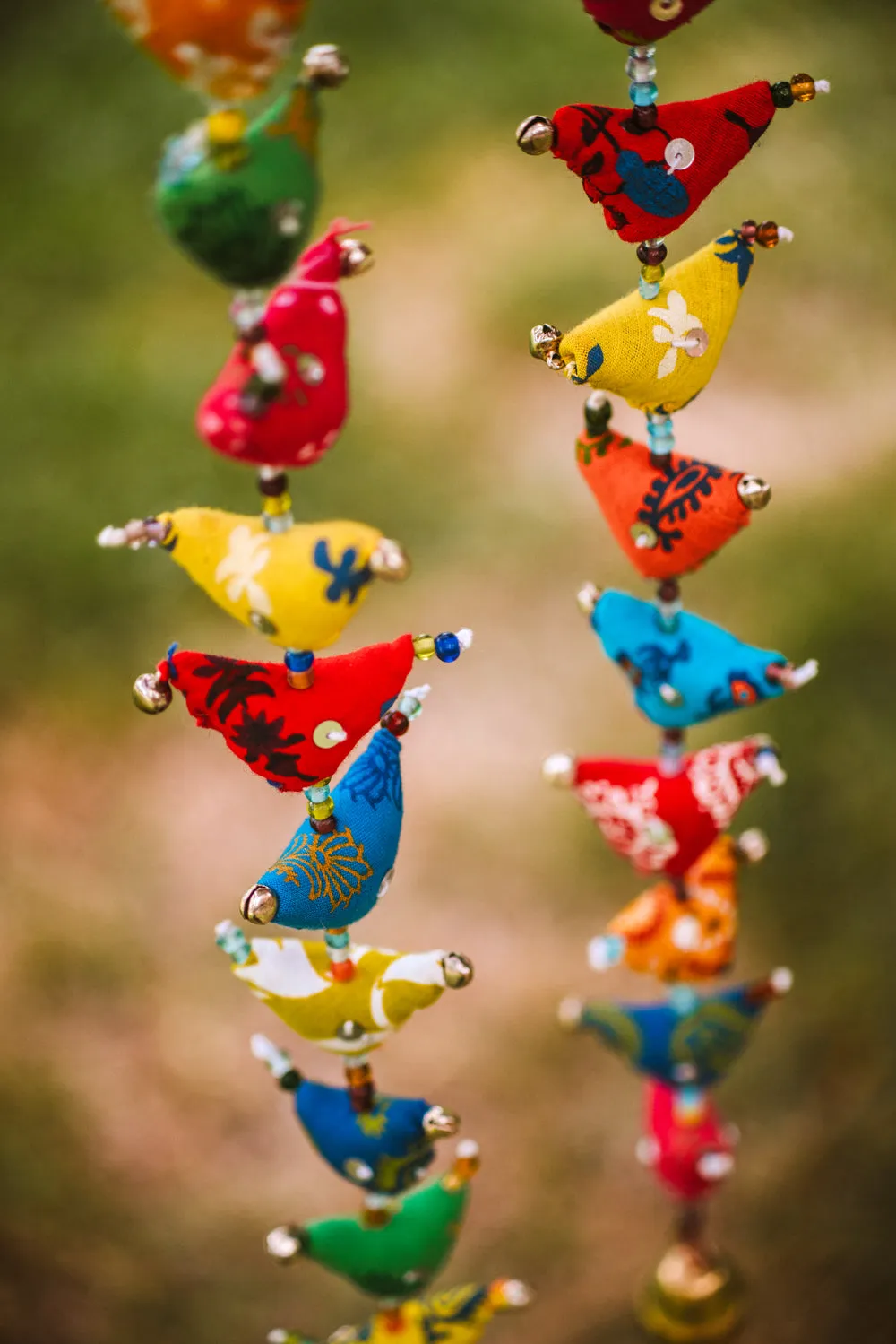 Prosperity Tota - Short (15 Birds)