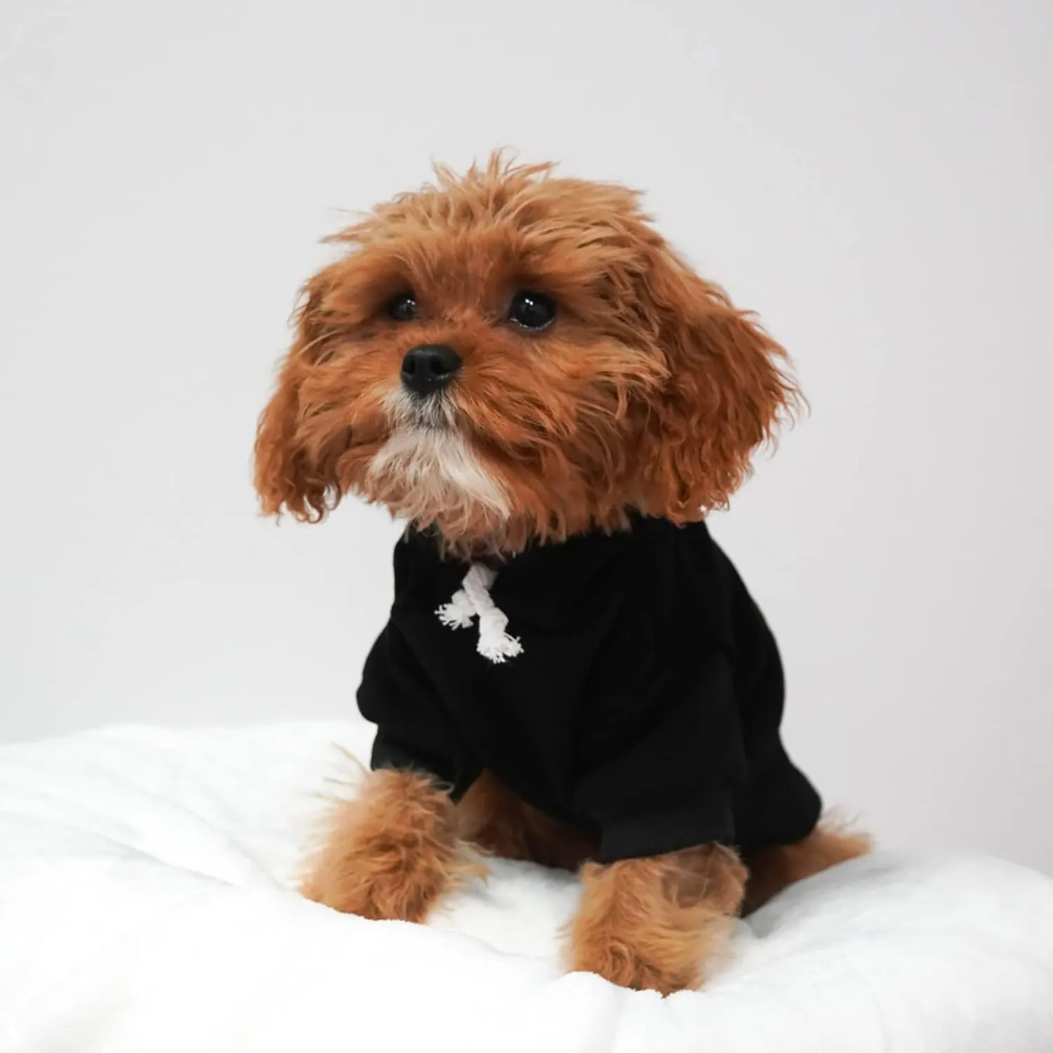 Skeleton Body Dog Hoodie Fleece Lined Pullover Sweatshirt with Leash Hole (Black, Medium 867)