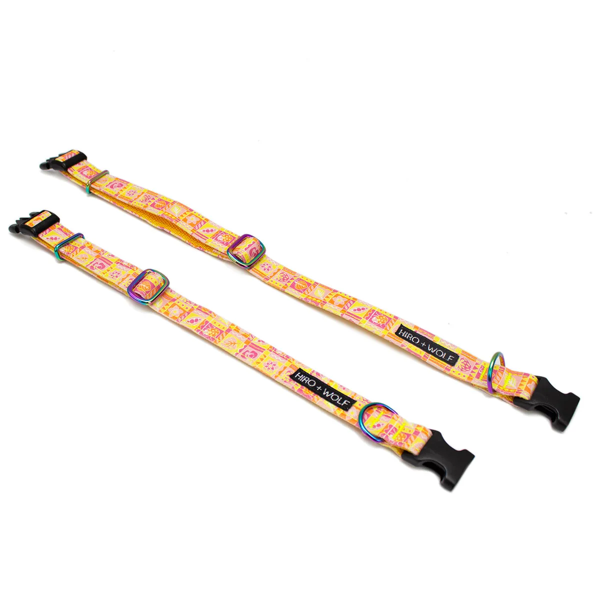 Summer Harvest Adjustable Dog Collar