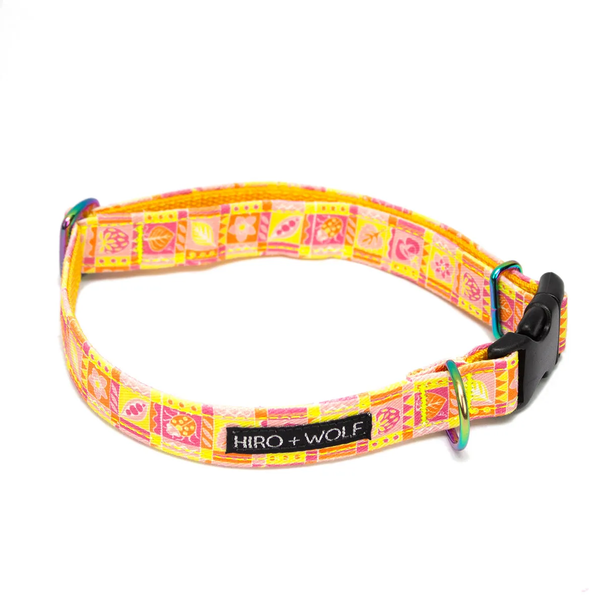 Summer Harvest Adjustable Dog Collar