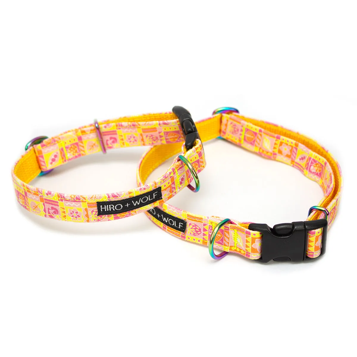 Summer Harvest Adjustable Dog Collar