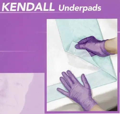 Underpad, Disposable, Extra Heavy Absorbency 30" x 30' (100/Case) Super Absorbent