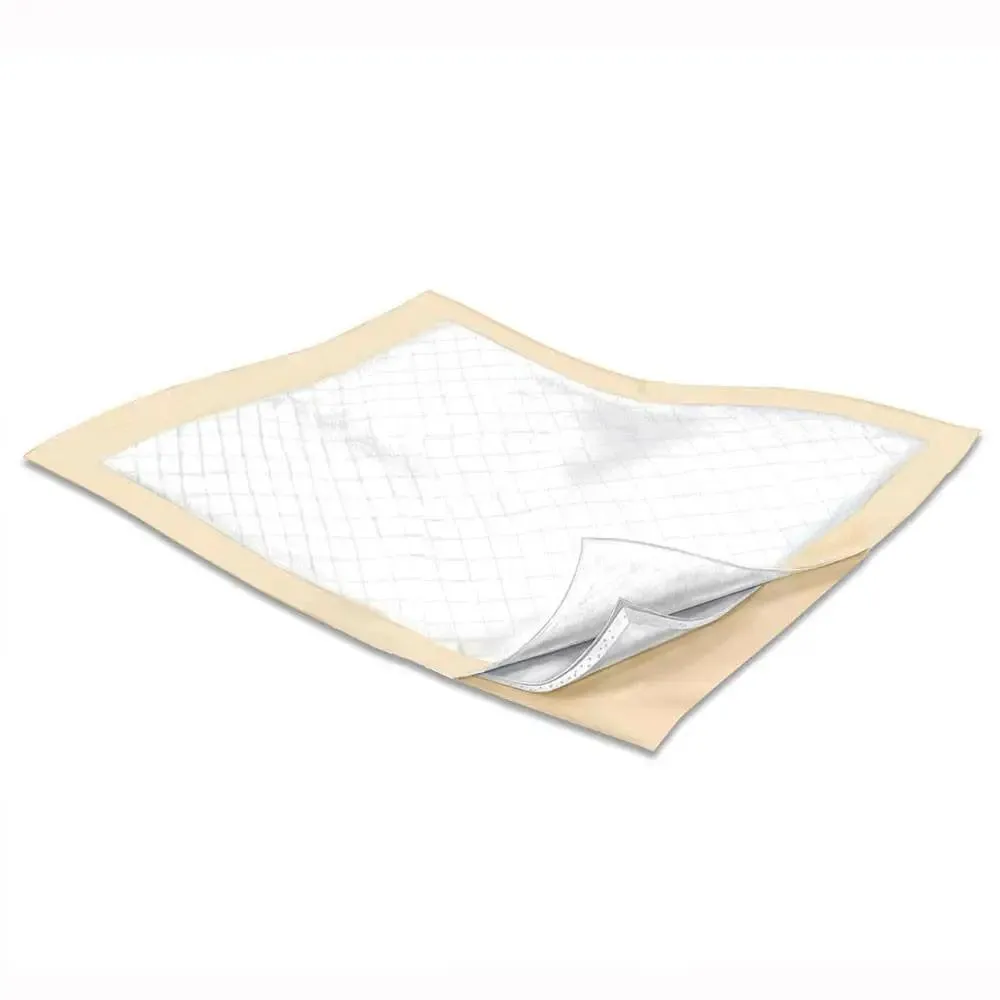 Underpad, Disposable, Extra Heavy Absorbency 30" x 30' (100/Case) Super Absorbent