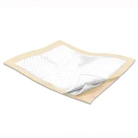 Underpad, Disposable, Extra Heavy Absorbency 30" x 30' (100/Case) Super Absorbent