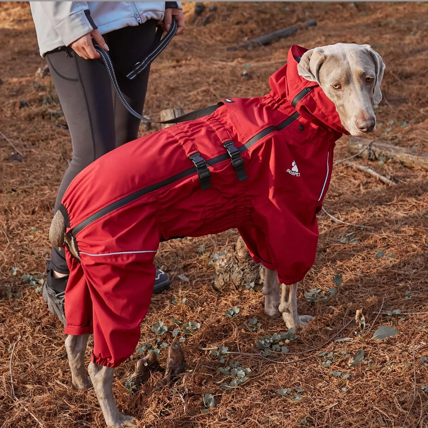 Waterproof Pet Raincoat, 4 Legs Design with Leash Hole and Reflective Strips, Lightweight Poncho for Small to Medium Dogs, Puppy Rain Jacket (Red, 2XL)